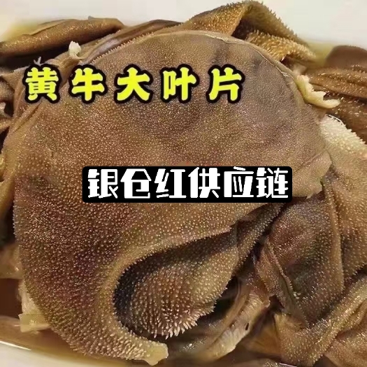 济南毛肚 