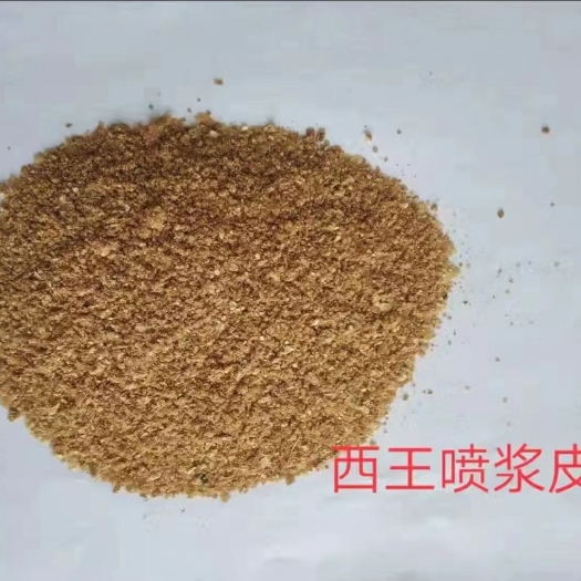 正定县玉米皮粉 西王喷浆玉米皮
