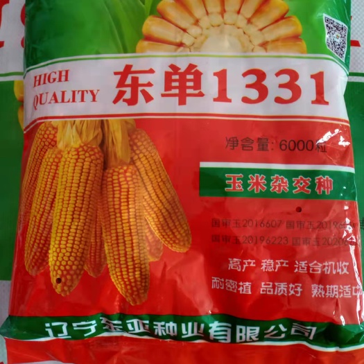 沈阳东单1331玉米种子  东单1331