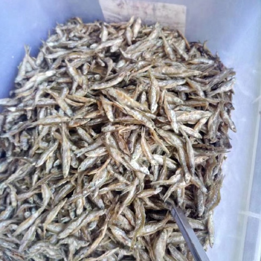河源山坑鱼仔 鱼干