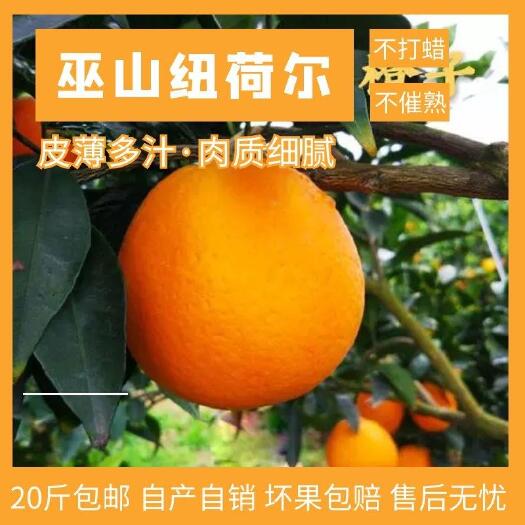纽荷尔脐橙  20斤精品巫山曲尺纽荷尔