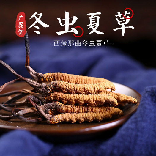 昆明西藏那曲冬虫夏草 虫草干草 散装盒装 多规格货源批发