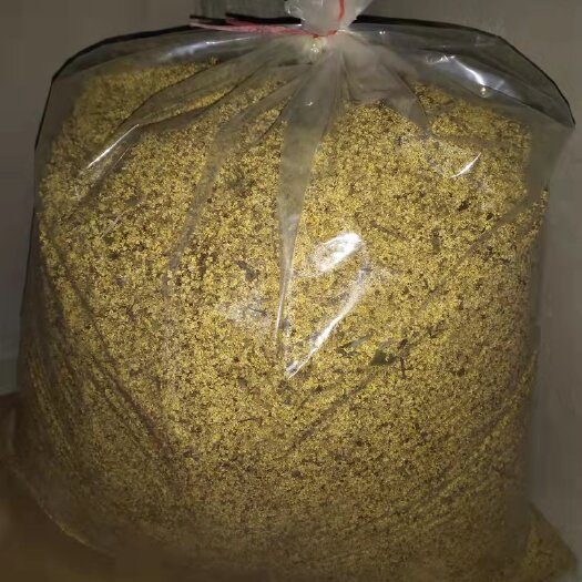 桂林桂花瓣 桂林桂花干