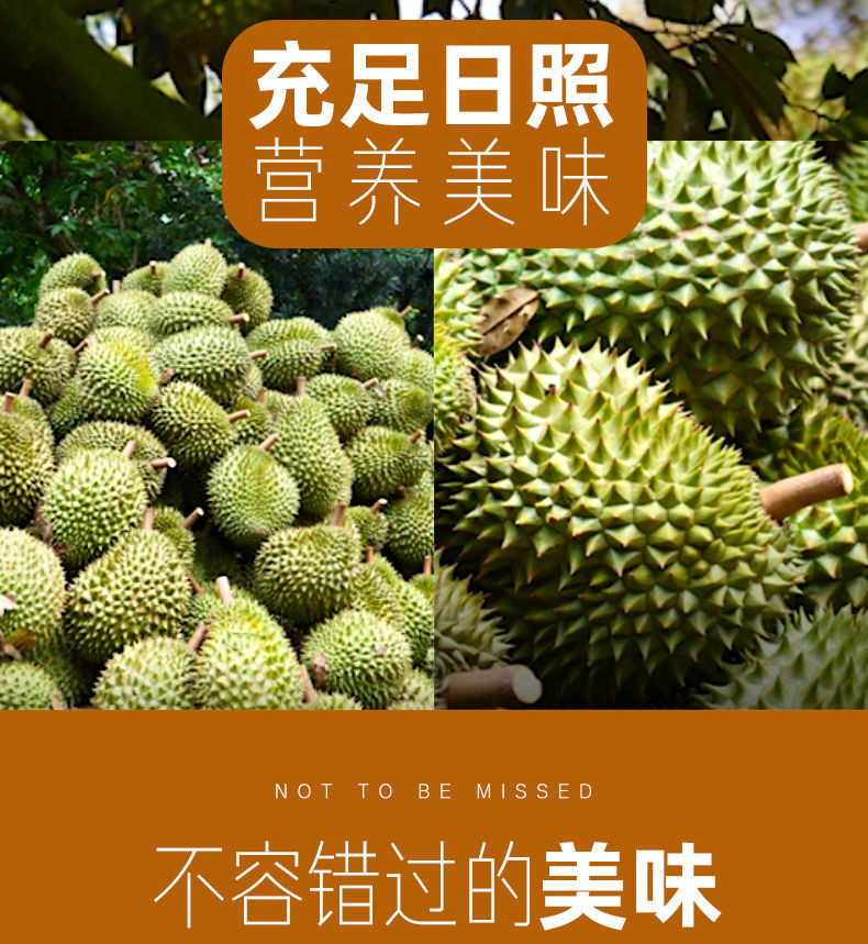 【2023年榴莲自由开启】泰国金枕头榴莲新鲜带壳热带水果