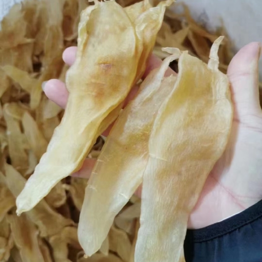 汕头花胶 日常煲烫款，尖尾北海胶50头一斤，清水无油