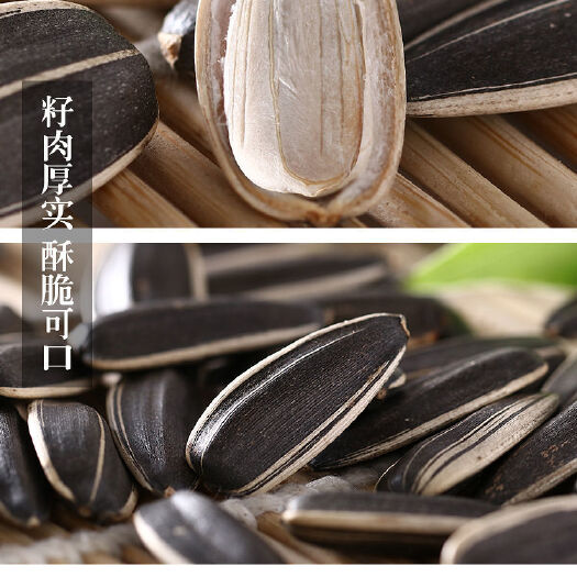 新县葵瓜子 内蒙古自治区呼和浩特市武川县 3-6个月