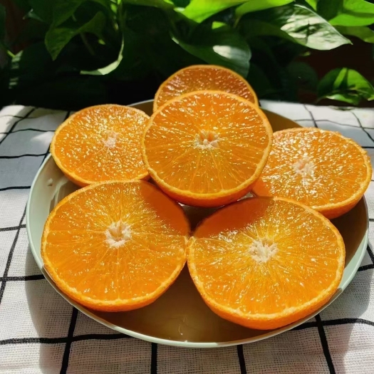 丹棱县脐橙 套袋爱媛上市了