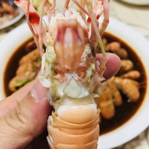 荣成市鳌虾，深海小龙虾