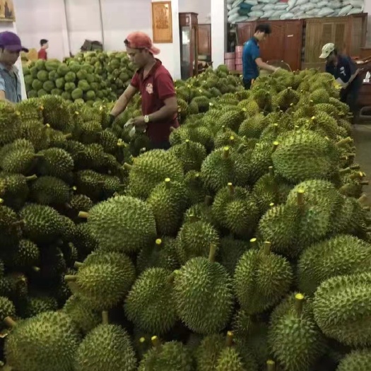 凭祥市泰国金枕榴莲