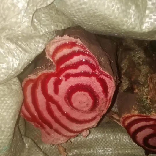 鸡血藤，产自云南澜沧江畔，药用价值高