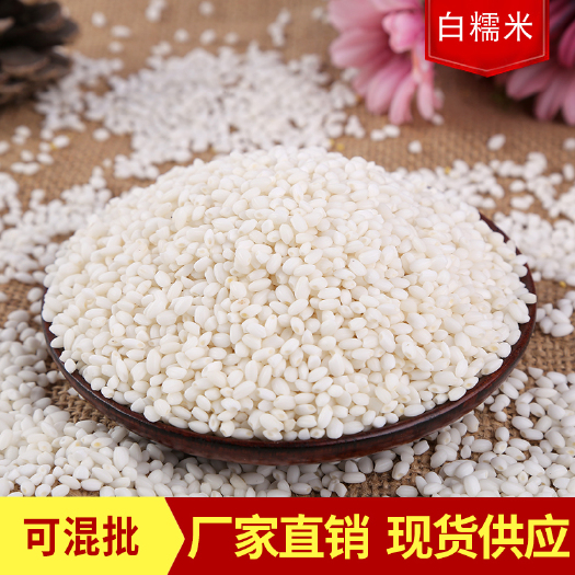 临沂现货批发新货白糯米农家圆糯米新米江米粘大米包粽子袋装25k
