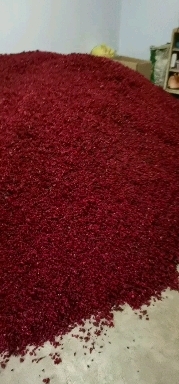 西安山茱萸