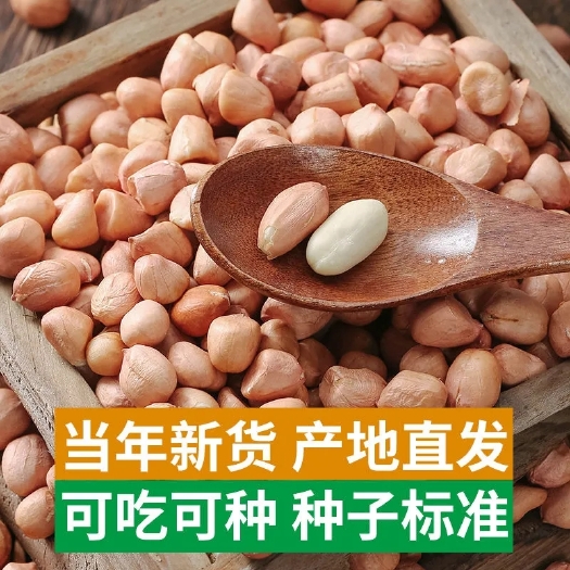 哈尔滨【甄选】生花生米东北白沙大颗粒新鲜花生仁批发5斤干花生米1斤