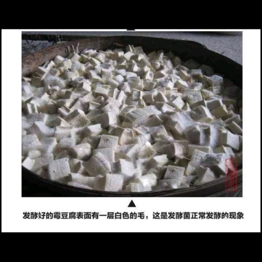 什邡市油豆腐  什邡红白镇豆腐乳
