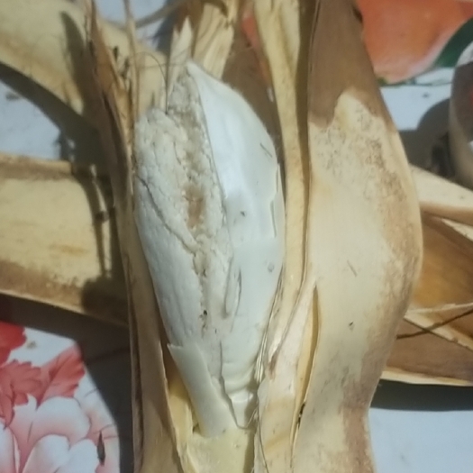 龙里县贵州新鲜的棕包米需要联系