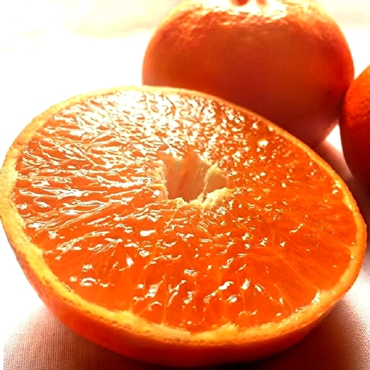 重庆市柑桔苗  爱媛52，柑橘新品种，甘平的替代品种，不裂果，不枯