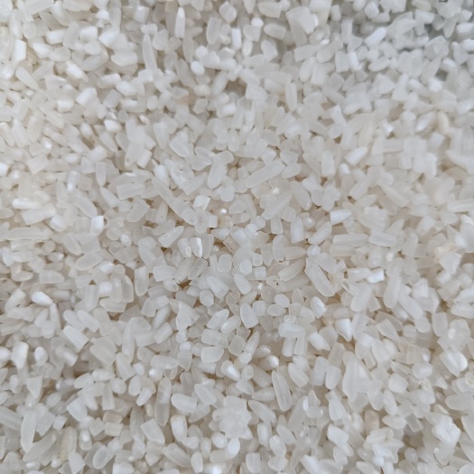 望都县大米碎米 煮粥香米