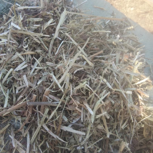 正阳县花生秧秸秆  无土无膜无霉变 质量保证（视频看货）