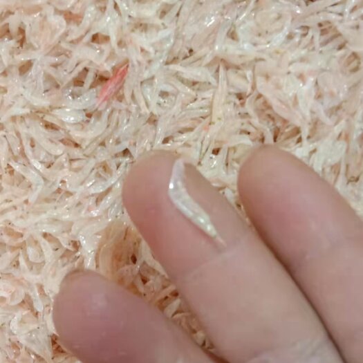 阳西县 虾皮自做的，批发，零售，欢迎各位亲下单