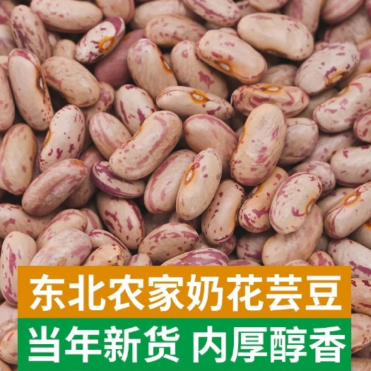 黑龙江哈尔滨【东北芸豆】东北饭豆5斤菜豆大碴粥农家自产四季豆奶花云豆花豆