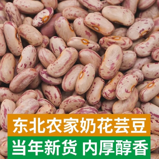 哈尔滨【东北芸豆】东北饭豆5斤菜豆大碴粥农家自产四季豆奶花云豆花豆