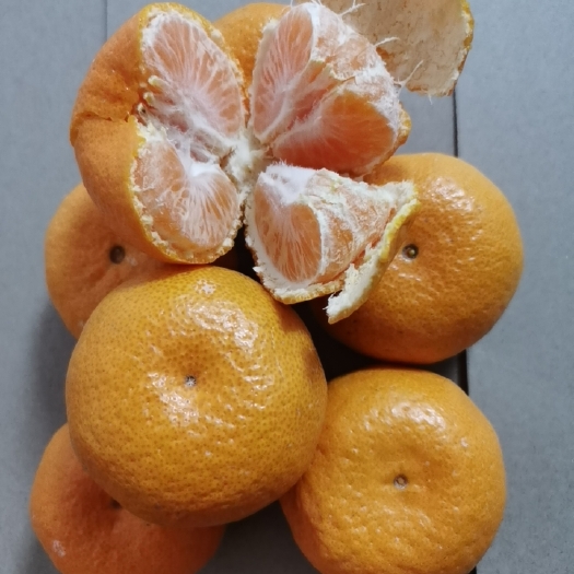 臭皮柑  本地早