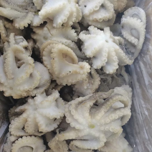 济南章鱼  盐磨三去八爪鱼