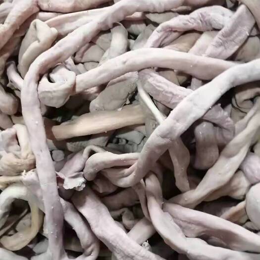 鞍山 低价批发牛肠