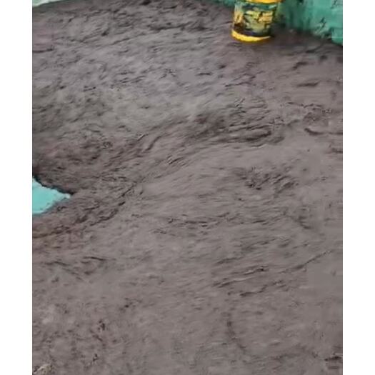 大连头水紫菜  2021年，头一水的紫菜，，质量非常的好，地址在大连金州区