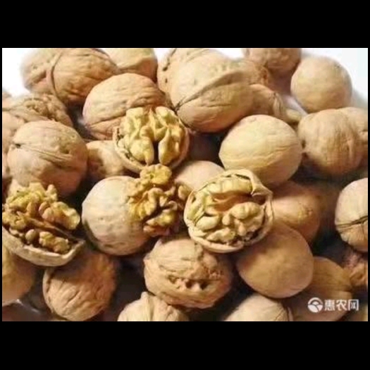 渭南薄皮核桃  核桃，