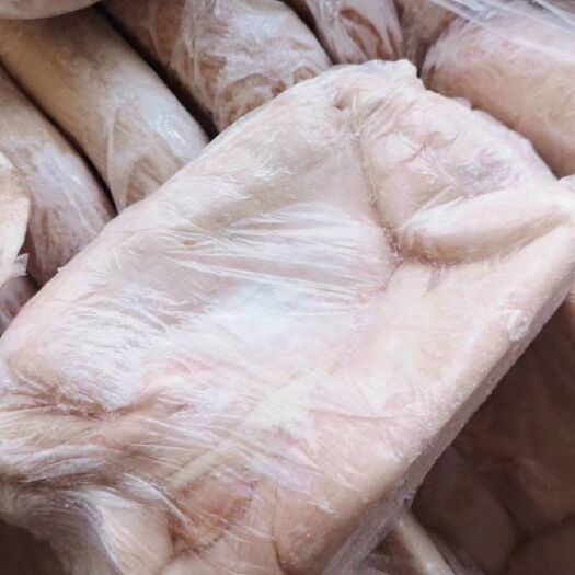 成都猪肚  各种品质鲜冻猪大肚