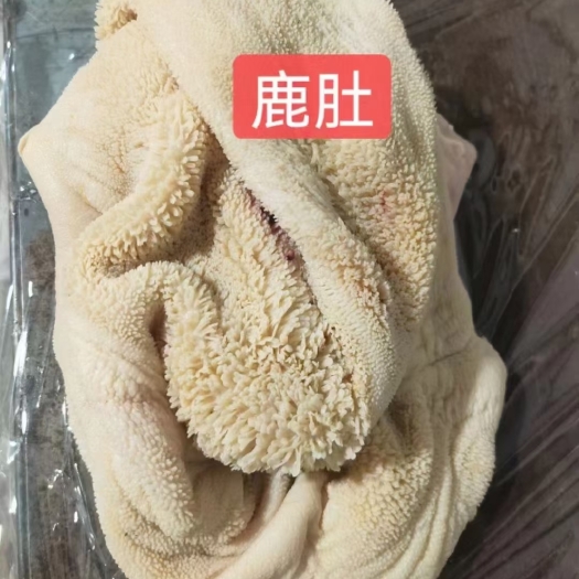 长春特种副产品  鹿肚，鲜鹿肚，运费另算，所有商品不包邮