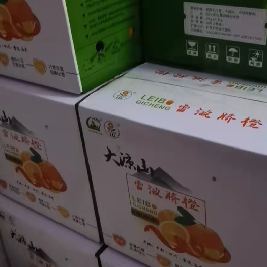 长垣市 雷波脐橙