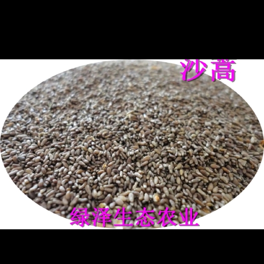 杭锦旗沙蒿籽出售，可做中药材