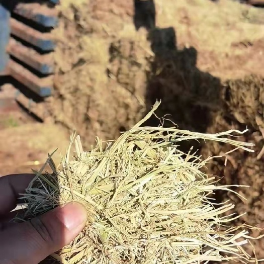 怀远县小麦秸秆  牛羊秸秆饲料柔丝除尘稻草，麦秸杆，豆秸