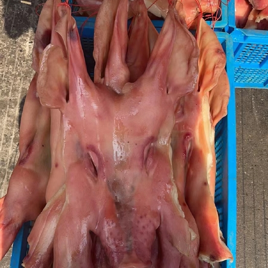  腊猪脸