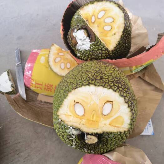 梧州 越南红肉菠萝蜜
