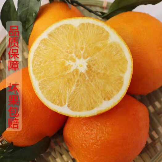 宁远县纽荷尔脐橙 荷尔脐橙坏果包赔