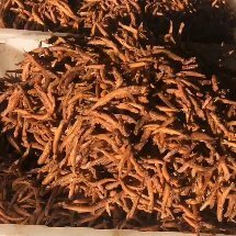 河源 泥鳅干
