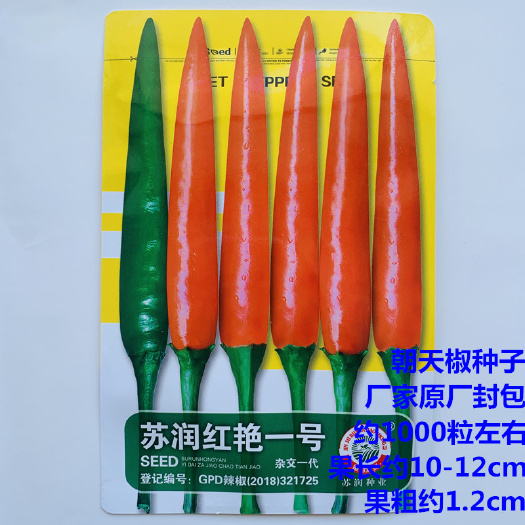 沭阳县朝天椒种子  蔬菜种子辣椒种籽朝天椒种孑四季种植高产大田用种