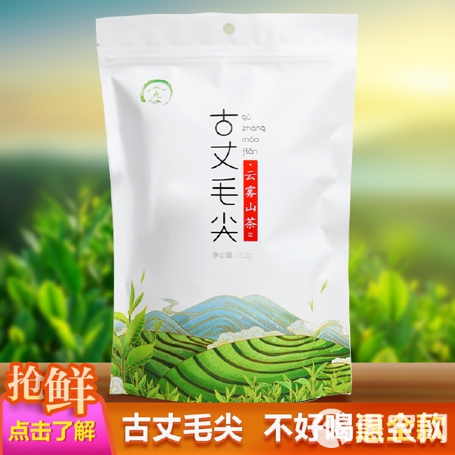 毛尖茶 古丈毛尖云雾山茶浓香新茶250g散装茶叶袋装绿茶九官坪紫荆茶