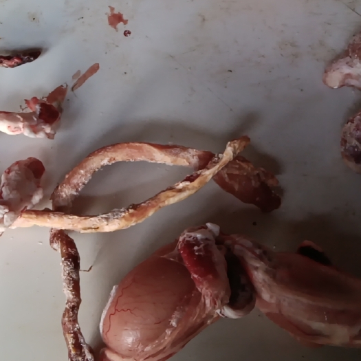 环县羊肉类  环县羊羔肉