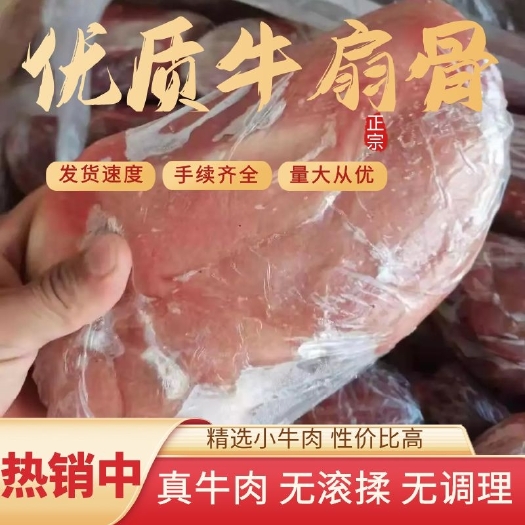 牛肋排  国产乳牛系列扇骨，牛骨，犊牛扇骨，乳牛扇骨