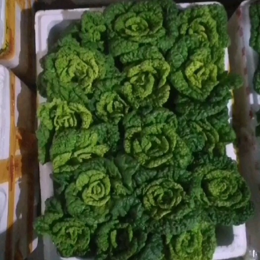 长沙红菜苔 湖北省天门市天门市 