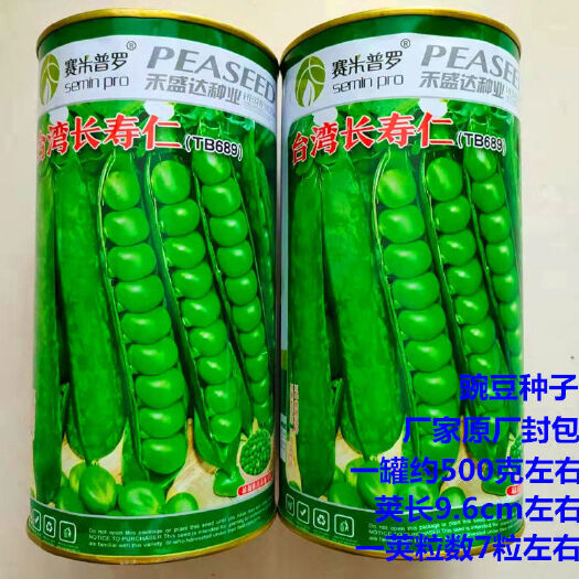 沭阳县豌豆种子 蔬菜种子绿豌豆种籽长寿豆高产春秋种农家豌豆尖豌