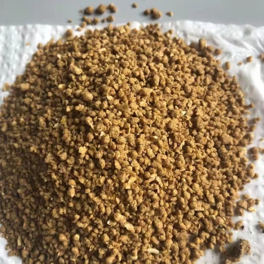 正定县玉米渣 糖化熟玉米，玉米熟化好吸收！蛋白8脂肪5，含糖量20，