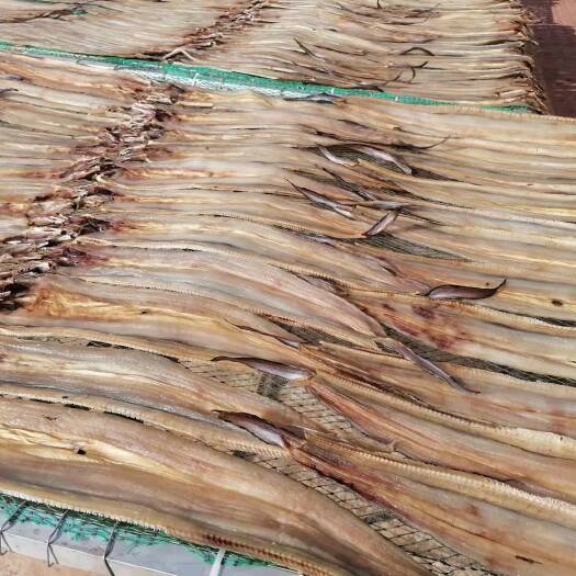 遂溪县鳝鱼干 1个月 