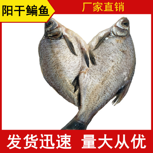 长沙鱼干  阳干鳊鱼武昌鱼 风干鳊鱼 活鱼现杀 肉质细嫩