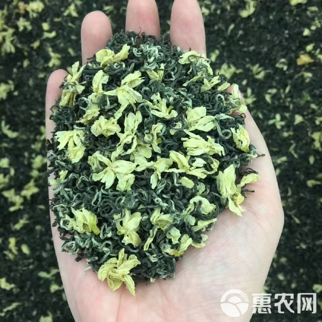 今年新茶 茉莉花茶 六窨飘雪 碧潭飘雪 500g包邮