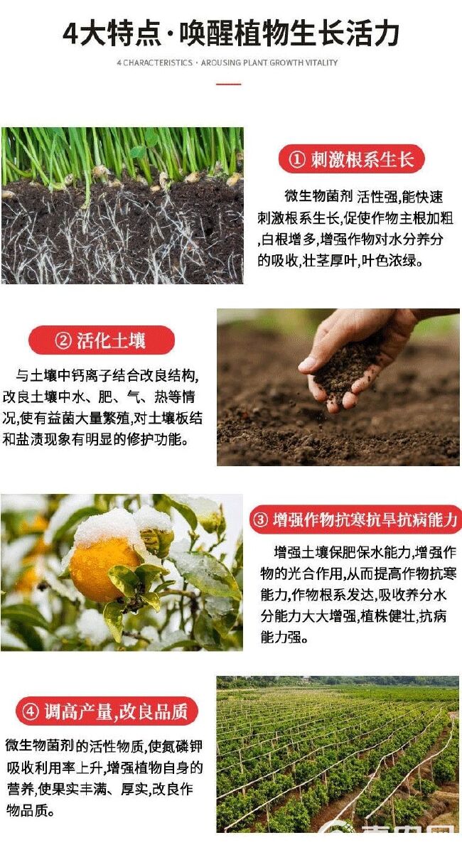 枯草芽孢杆菌哈茨木霉菌生根抗重茬防早衰烂根微生物菌剂水溶肥